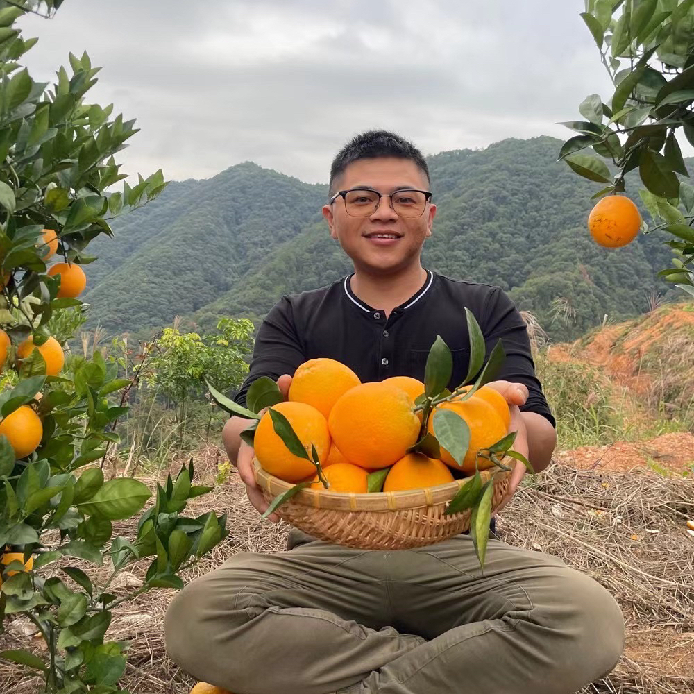 福建武平 高山脐橙 十斤装新鲜采摘现发 香甜汁多