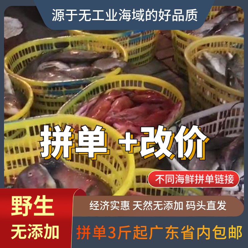 （直播现称2号） 3斤起广东省内包邮 天然海捕 海鱼帮处理 码头直发