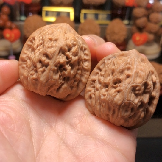木精品野生金钱豹