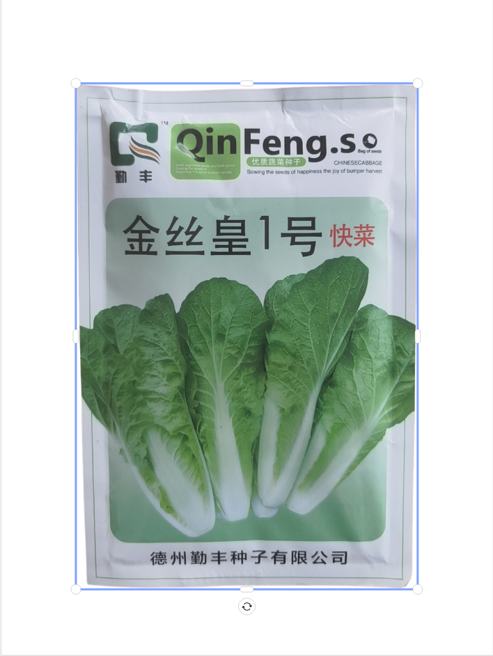 金丝皇1号（200克）快菜产地直发批发优质绿色种子