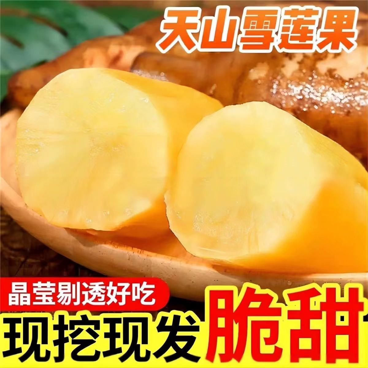【直播专属】云南天山雪莲果新鲜水果当季孕妇现挖大果带红泥包邮