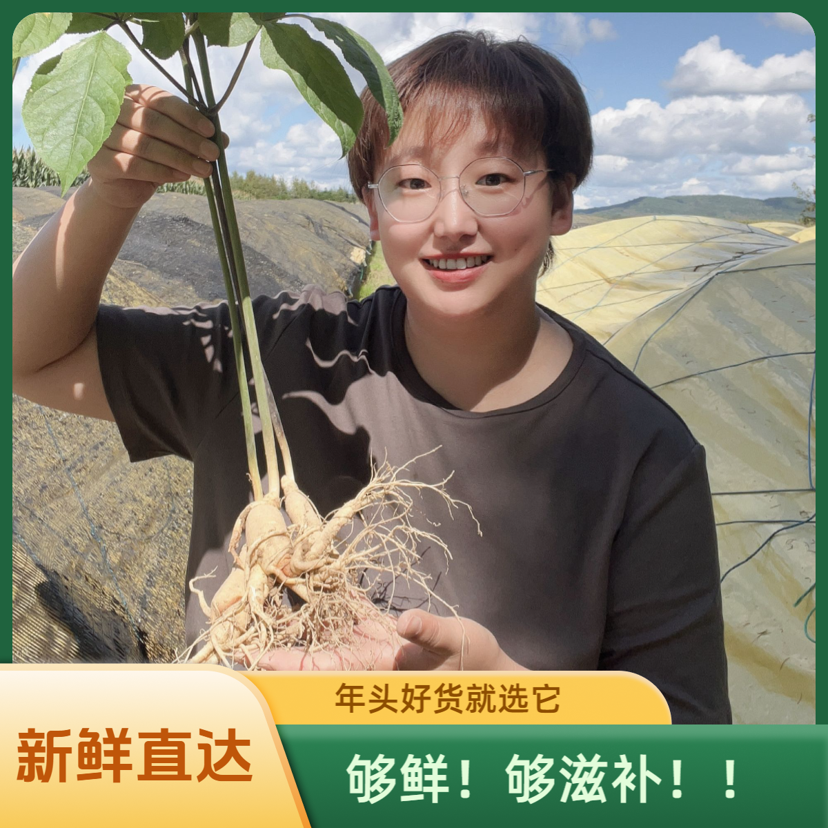 长白山新鲜人参6年参（12-15根）/500克泡酒煲汤滋补鲜参