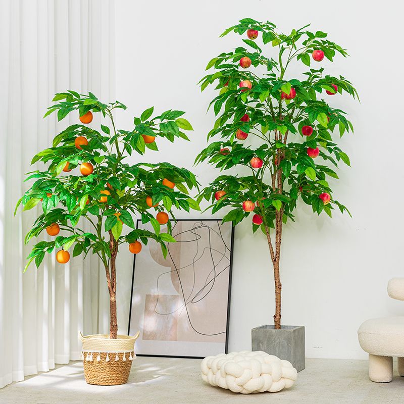 三:盆栽一物一拍链接3