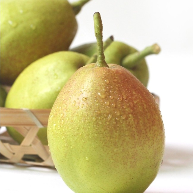 【黑小子】新疆库尔勒香梨1箱（4斤左右）
