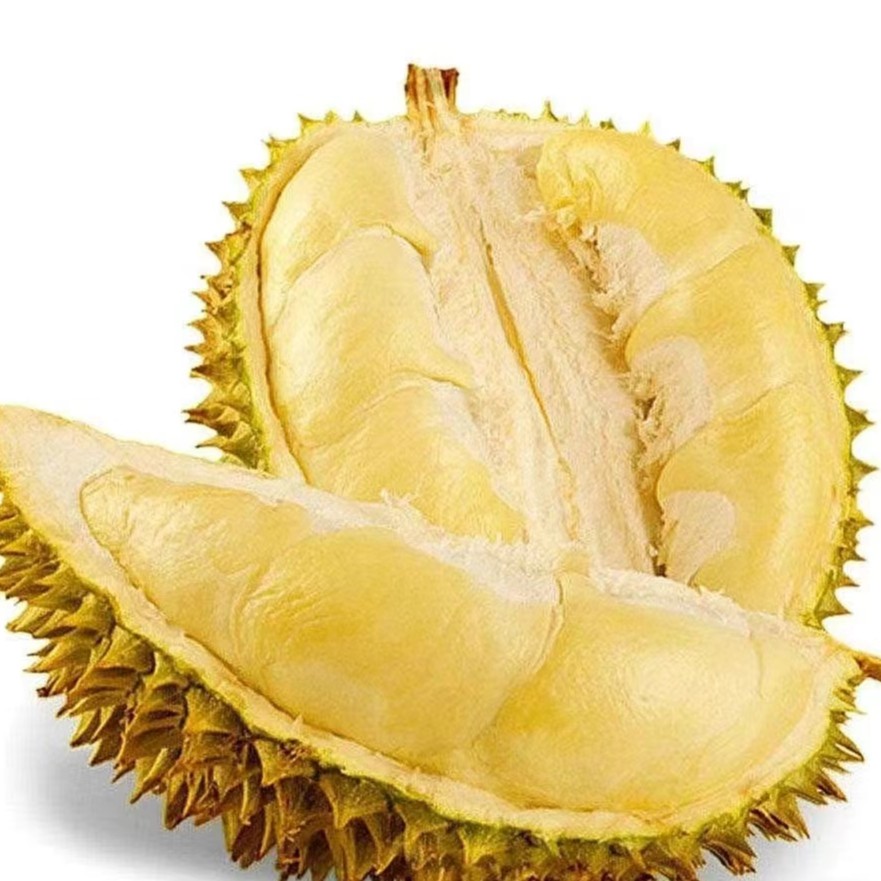 金枕榴莲