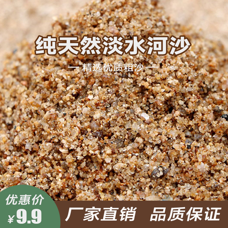 天然过筛河沙黄沙子多肉配土鱼缸造景水族底砂多肉淡水沙种植养花