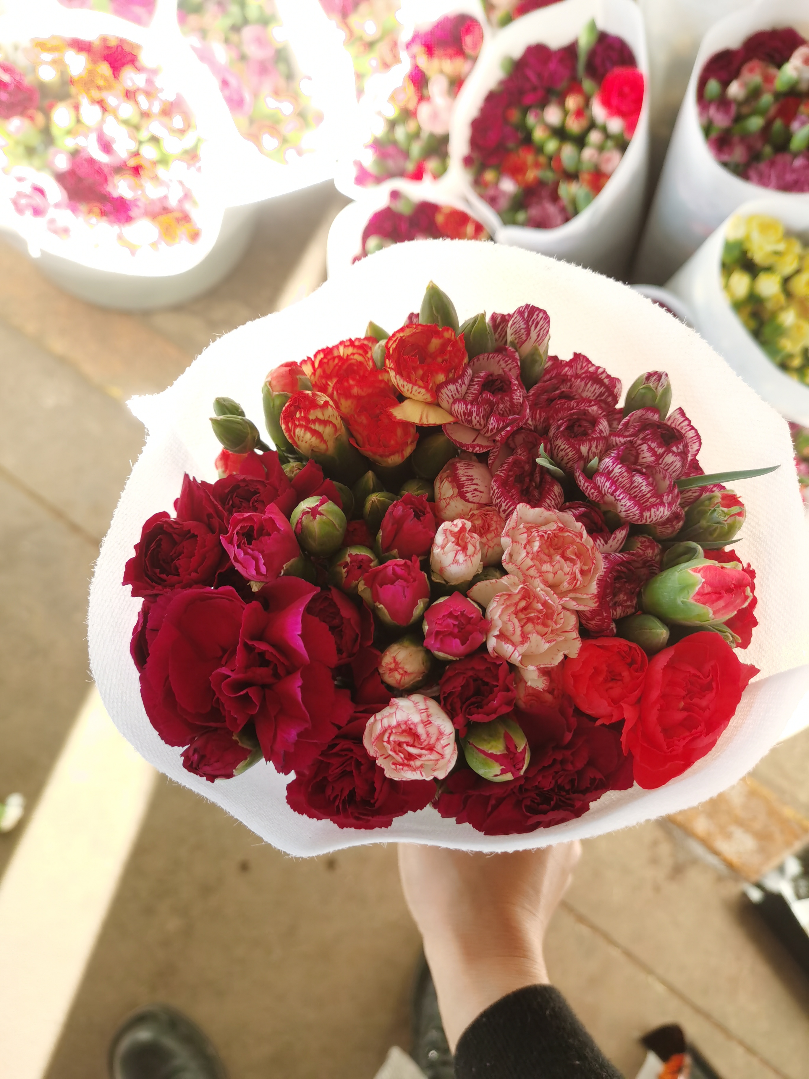 【西藏新疆偏远可发】多丁多头康乃馨超多品种18-20枝发货