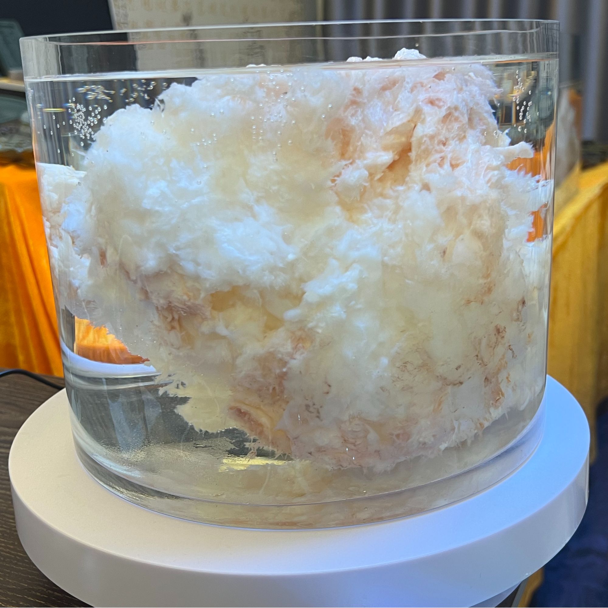 长白山石太岁摆件