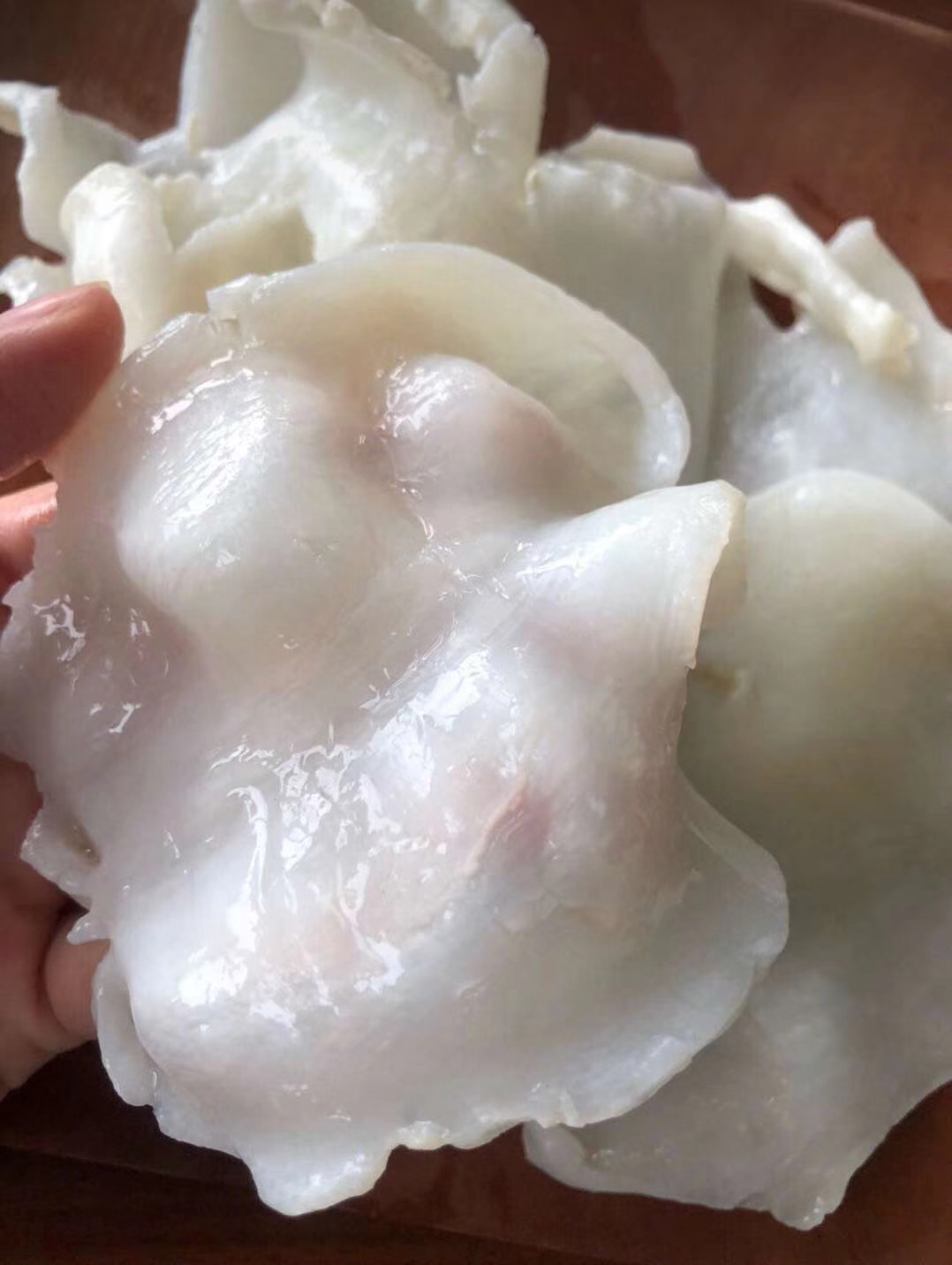 宇记海味店 100-110头蝴蝶胶 250g~500g