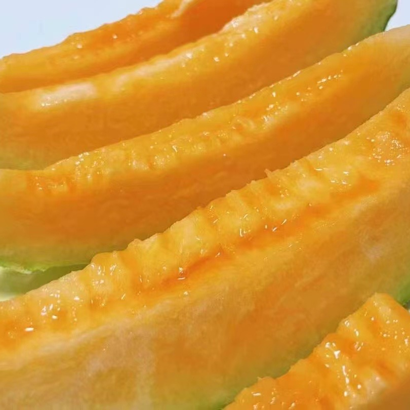 【蓝鲸小掌柜】月姬新疆哈密瓜一份2/4个7.5-16斤左右