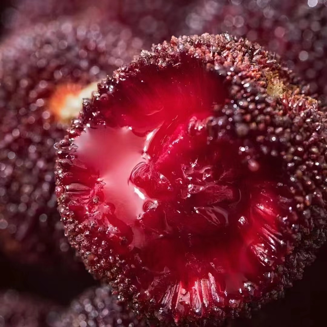 【蓝鲸小掌柜】觅至云南东魁杨梅真空装1.7/3.4斤左右甜中带酸