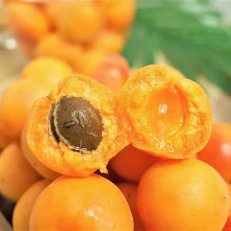 【蓝鲸小掌柜】娜果园新疆吊干小红杏一框2.5斤左右