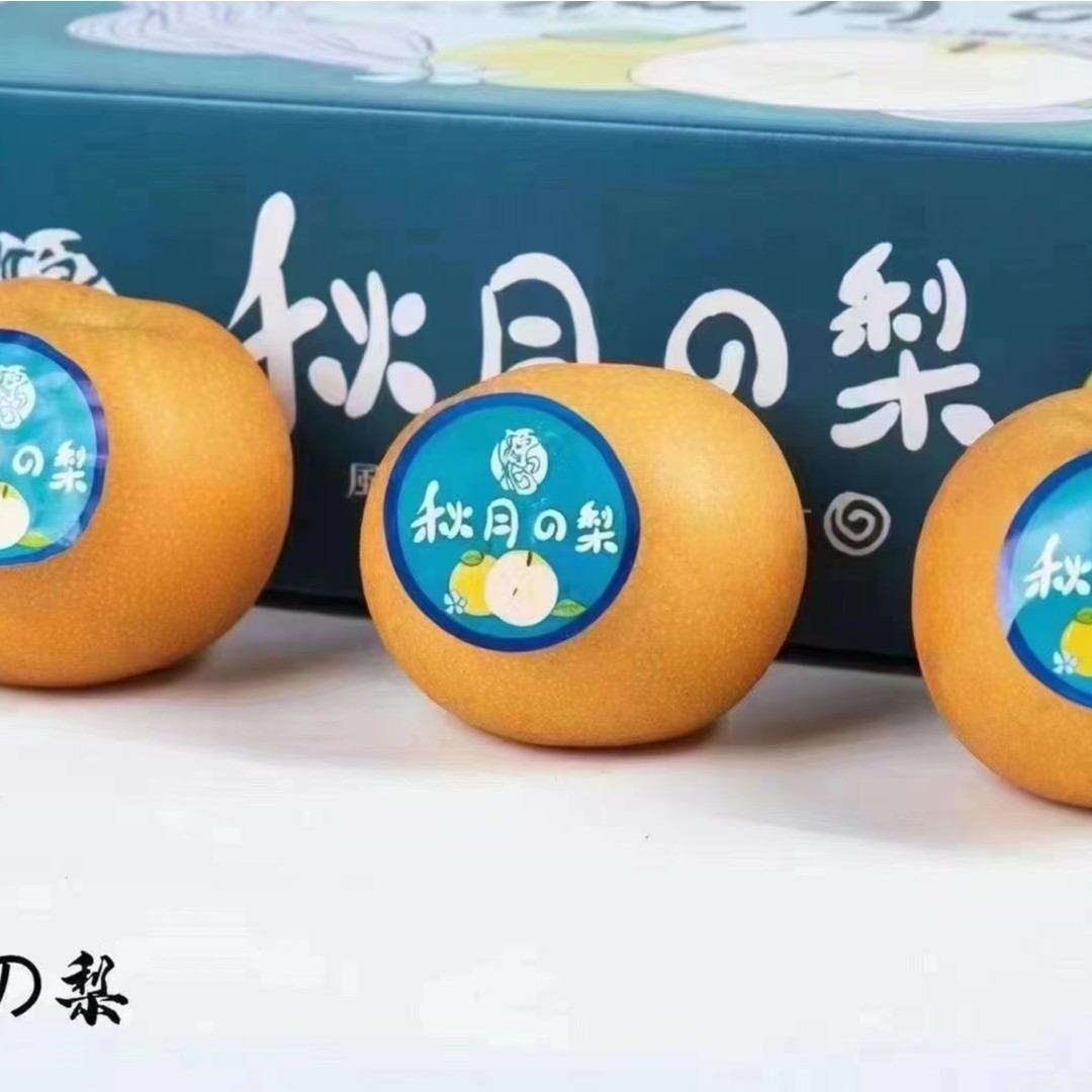 【顺丰包邮】源心山东莱阳秋月梨一箱6-7个6斤以上
