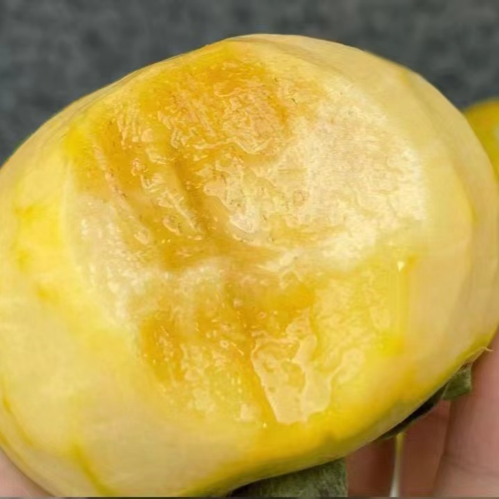 【蓝鲸小掌柜】十秋之辉云南大秋脆柿脆嫩甜一箱8-9个3.8-4斤左右
