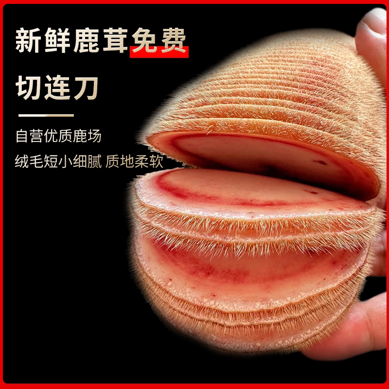 头茬二杠鹿茸鲜鹿茸整枝发货免费切连刀