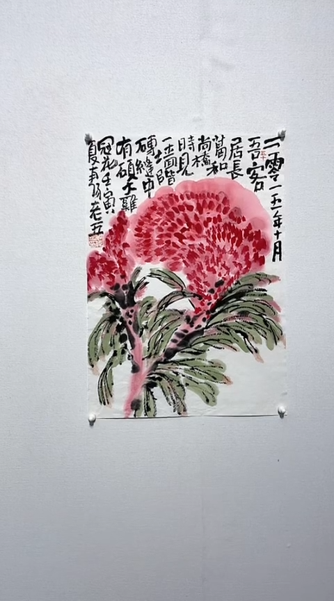 【闪购商品】绘画老五