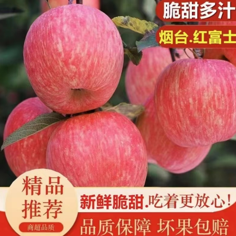 JJ【买五斤送五斤】烟台红富士苹果产地直发脆甜多汁新鲜坏果包赔