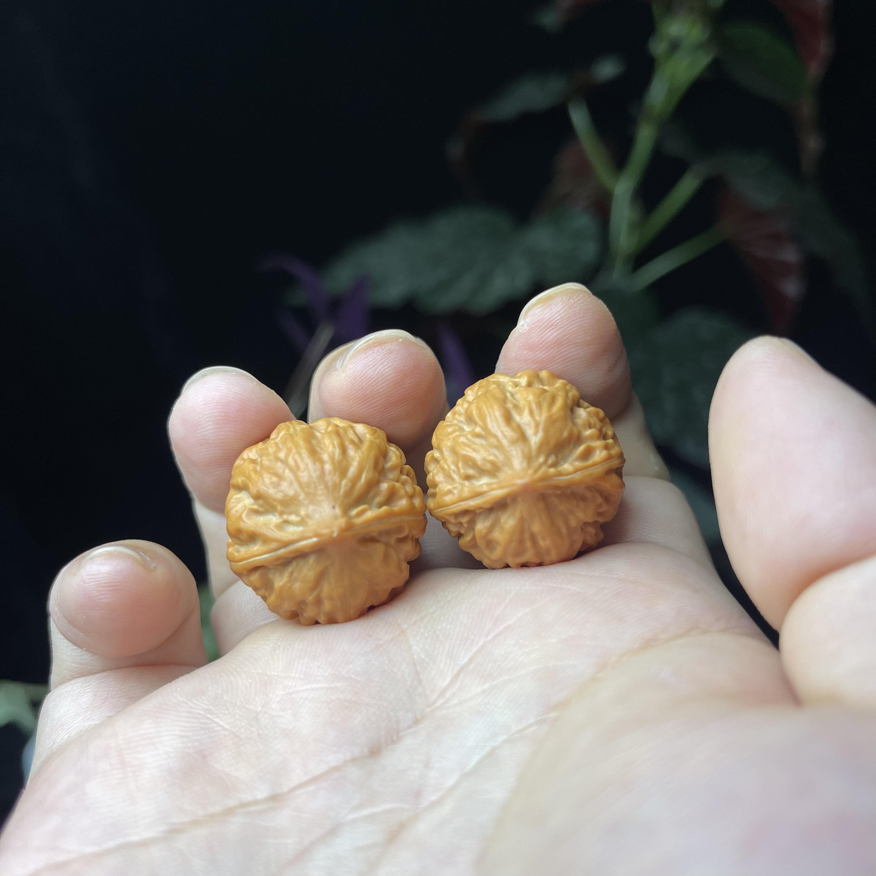 文玩核桃盲盒京八棱蛤蟆头野生门头沟小手捻随机发尺寸2.6左右