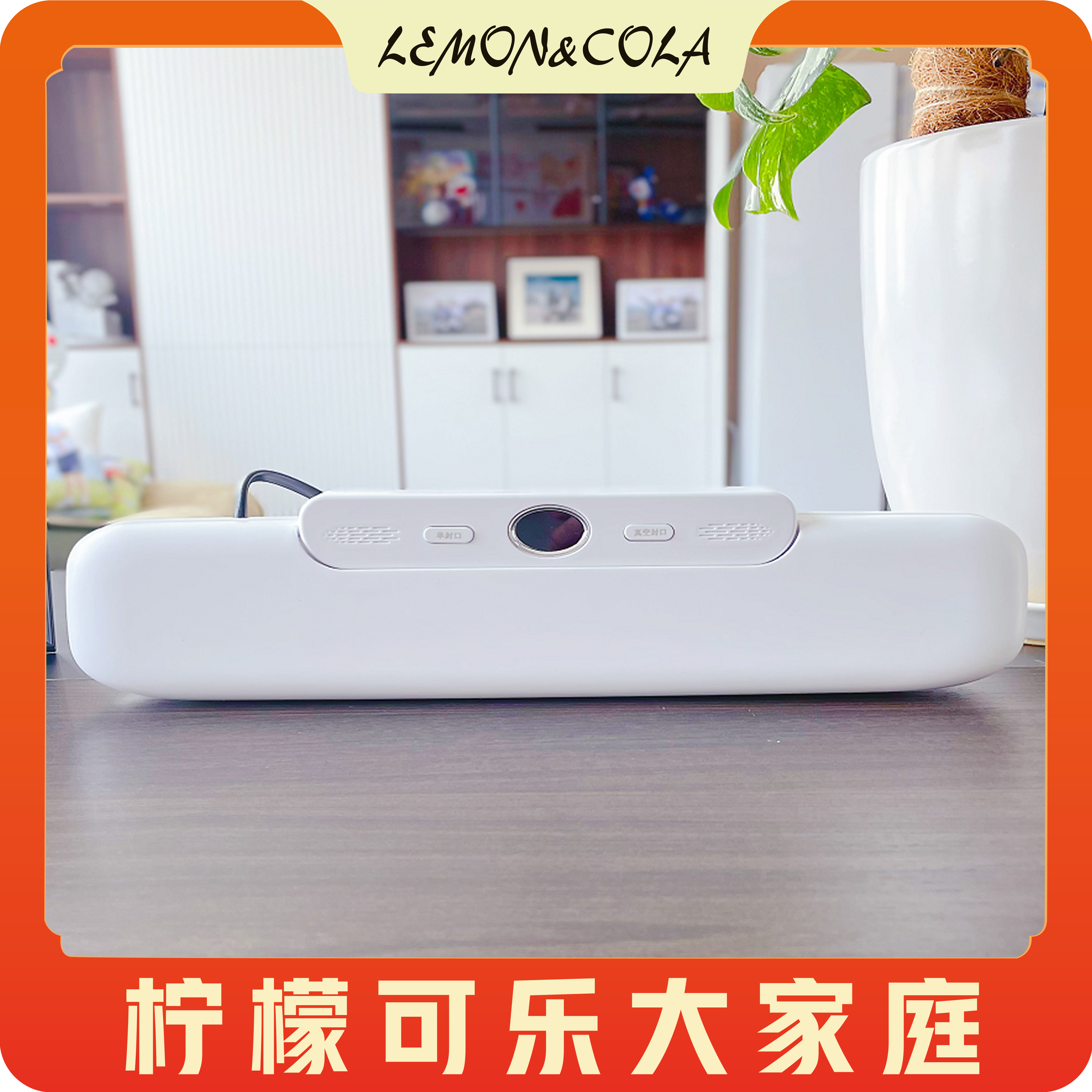 FL真空封口机 食品包装机抽真空抽气密封机小型家用塑封机保鲜机