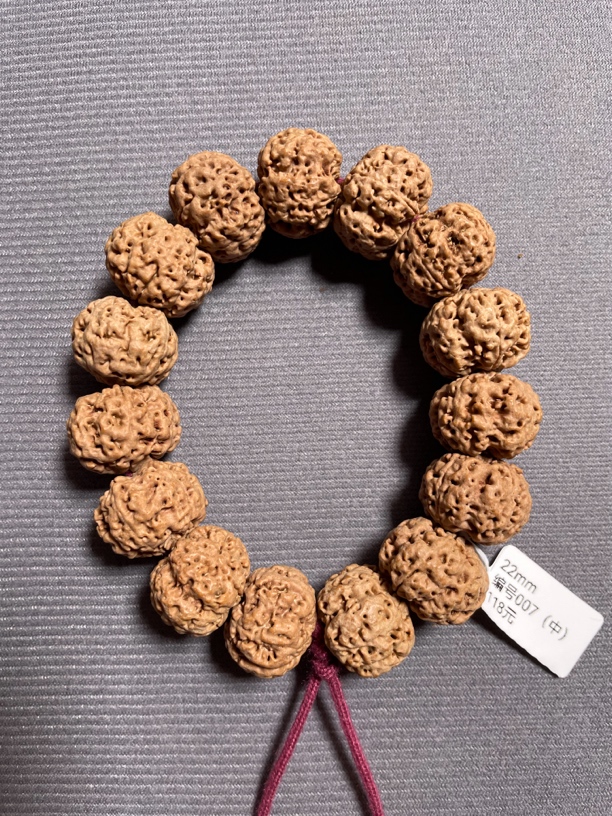 飞碟矮桩爆肉蜂王编号007-2