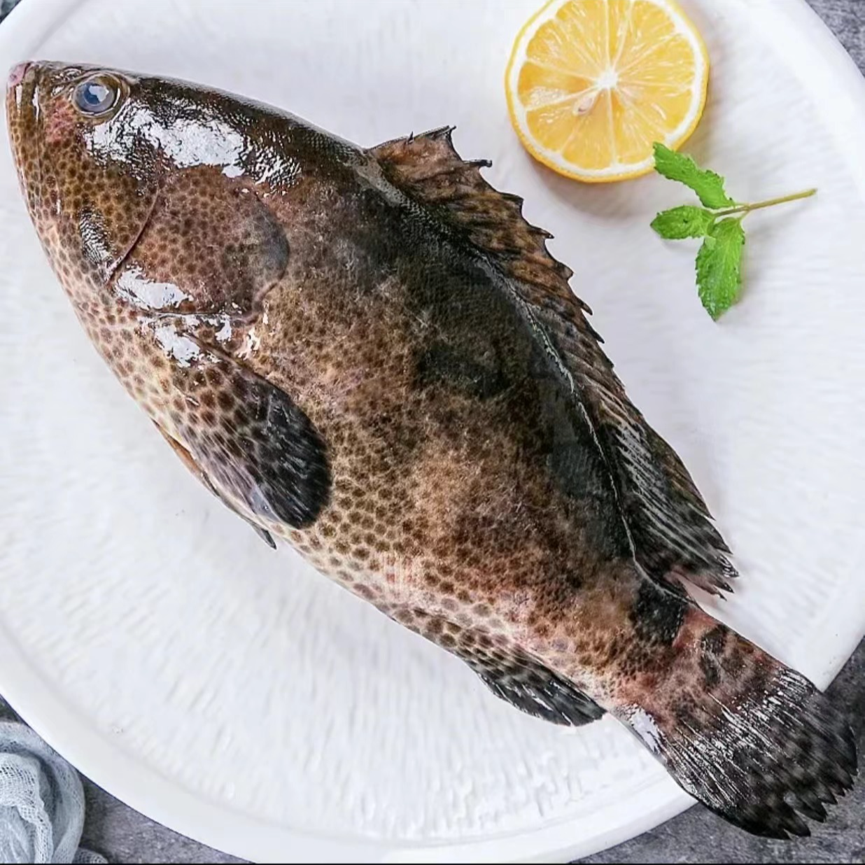 【新鲜龙胆鱼】上街弟推荐龙胆鱼肉质鲜嫩水煮酸菜福州发货保鲜到家