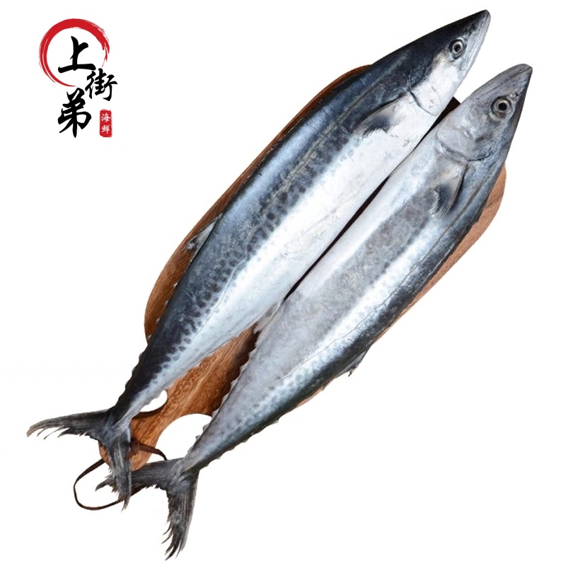 【马鲛鱼】上街弟推荐新鲜海捕马鲛鱼包鲜到家 福州发货深海捕捞