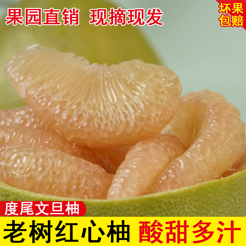 中秋送礼佳品度尾文旦柚老树红心新鲜时令应季水果