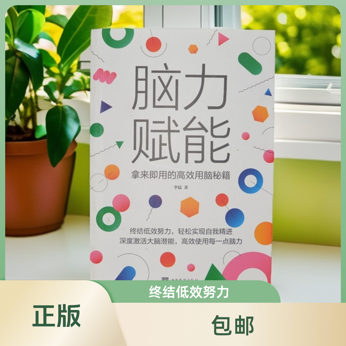 《脑力赋能》:拿来即用的高效用脑秘籍