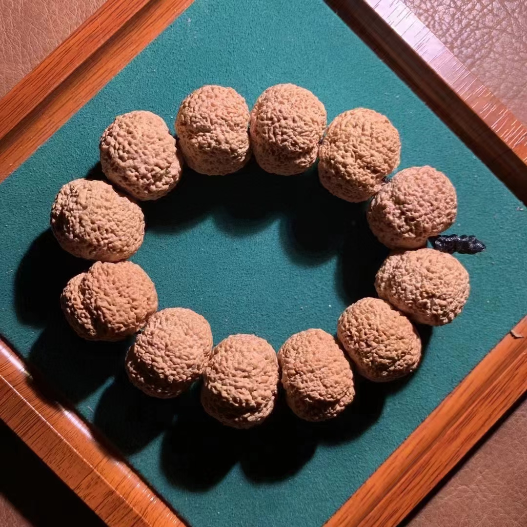 尼泊尔高端金刚菩提五星满肉真龙蜂王菠萝蜜手串重器毕业级牛货