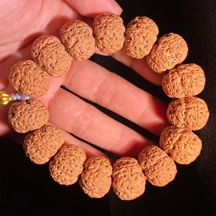 23年新籽尼泊尔高端龙蛭针孔满肉蜂王菠萝蜜五星六星毕业级稀有货