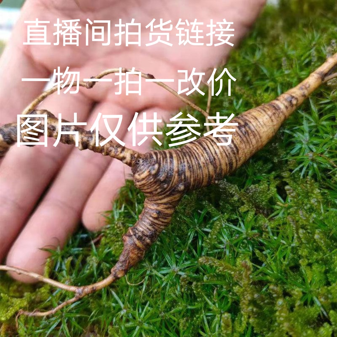 东北林下人参拍货链接
