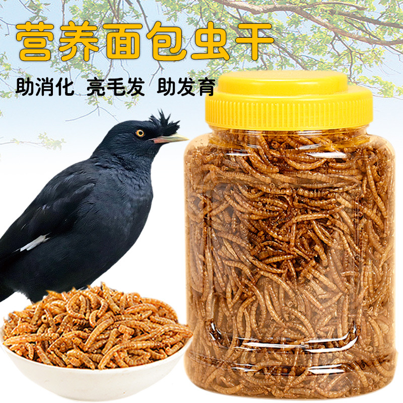 【奇妙妙】面包虫干黄粉虫干仓鼠用品粮食零食刺猬鱼鸟饲料龟粮鸟食