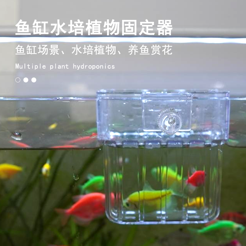 宠大条绿萝种植杯水草杯水培植物挂式定植篮鱼缸装饰造景创意配件