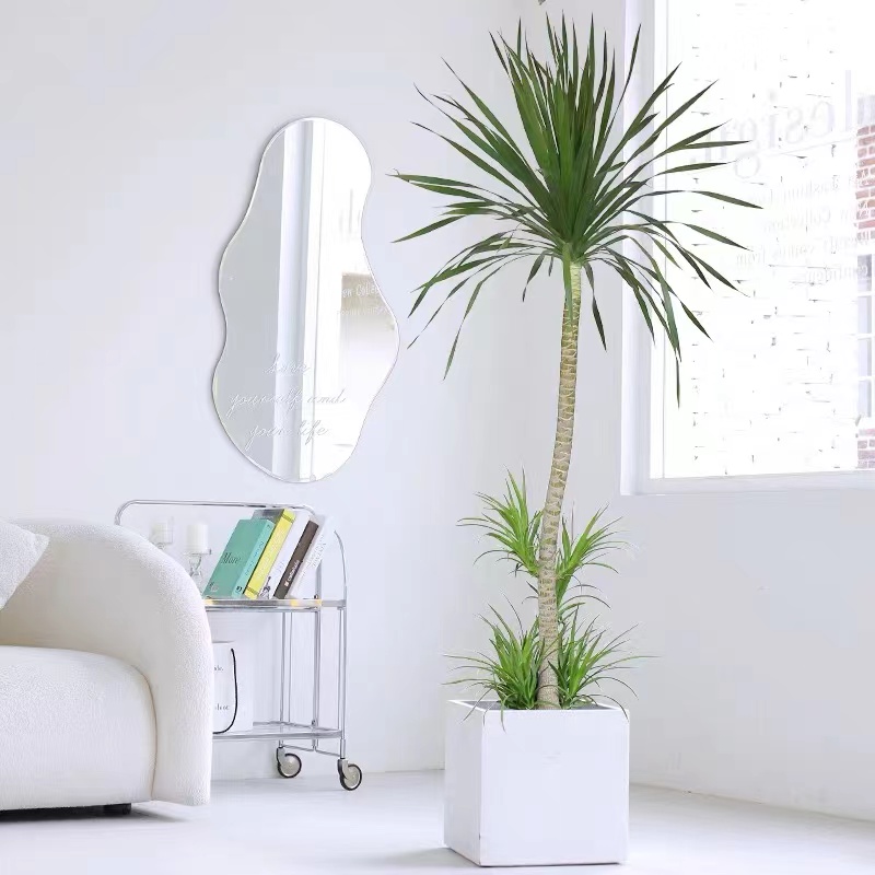 【花间语】龙血树大型植物室内客厅盆栽造型多头龙须树除甲醛绿植