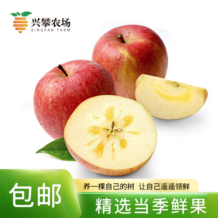 大凉山红将军 丑苹果 兴攀农场 含箱5斤 10-12个装