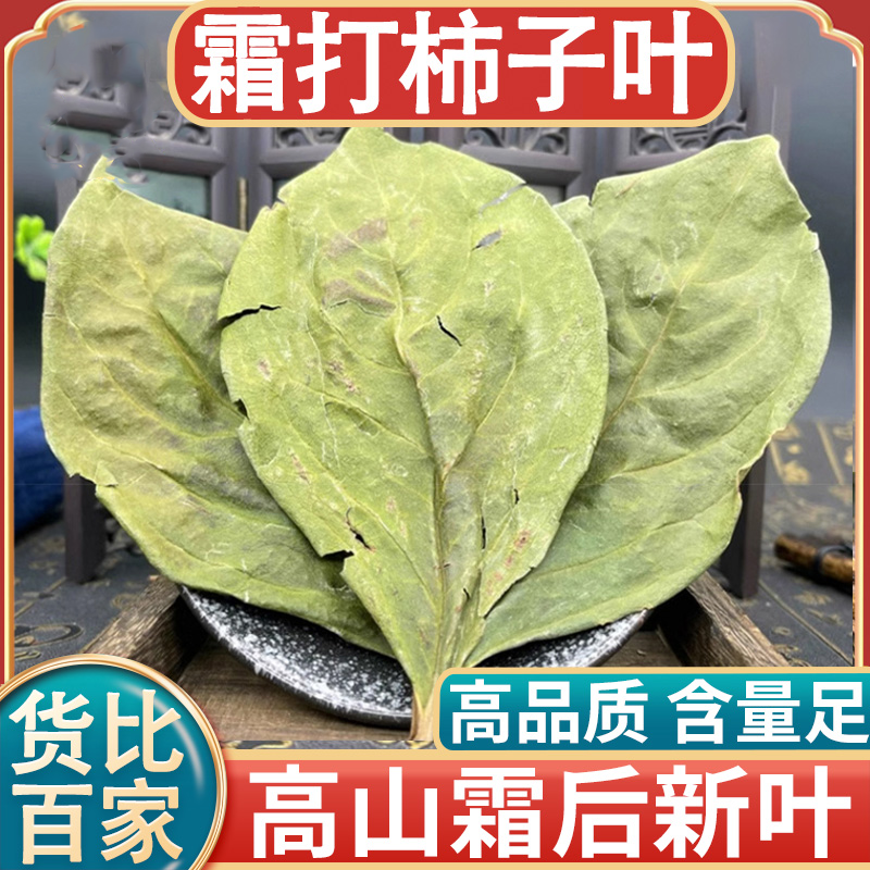 柿叶 柿叶茶 道地选材 干净无杂