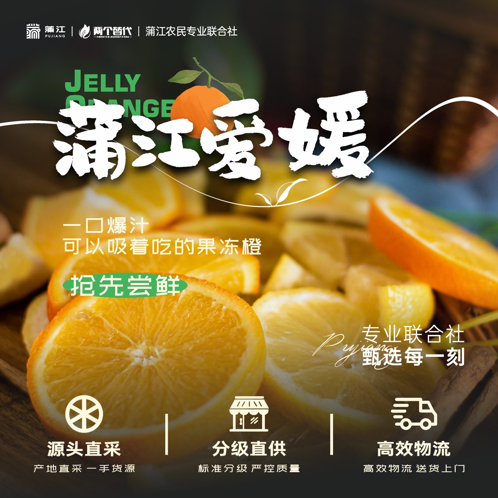 四川蒲江爱媛果冻橙约5斤