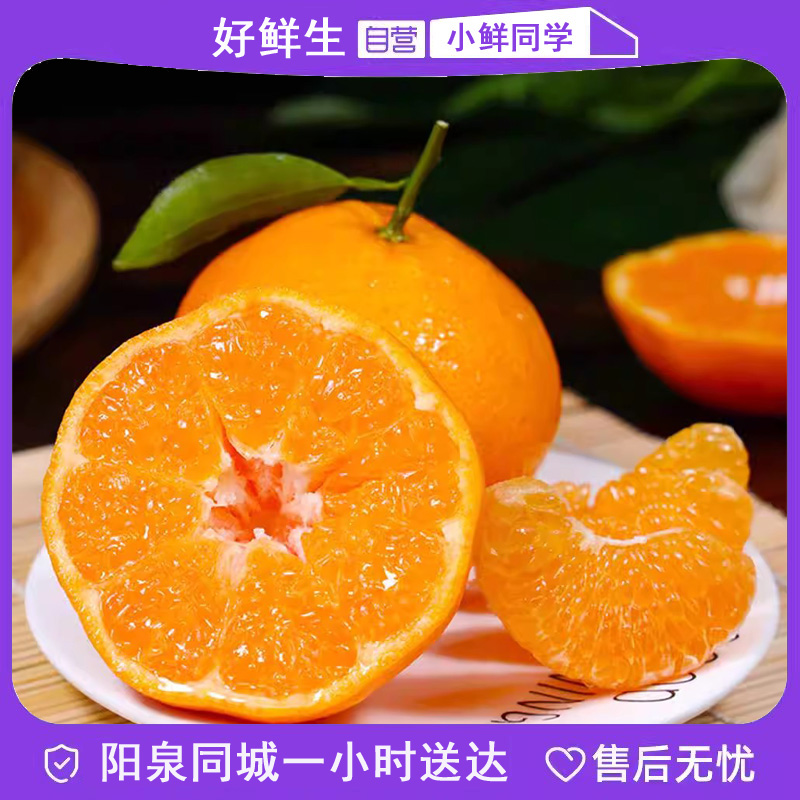 【A级】四川春见耙耙柑 中小果4斤（散装）