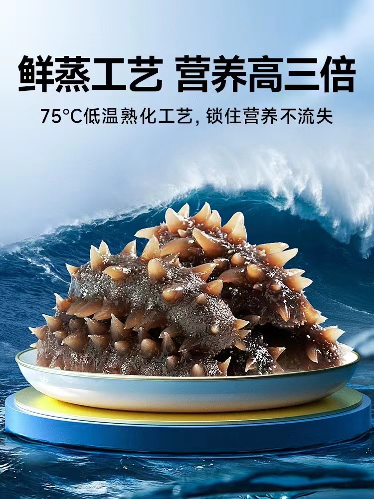正宗高品质海参5斤装 即食海参 营养丰富送礼佳品 海1