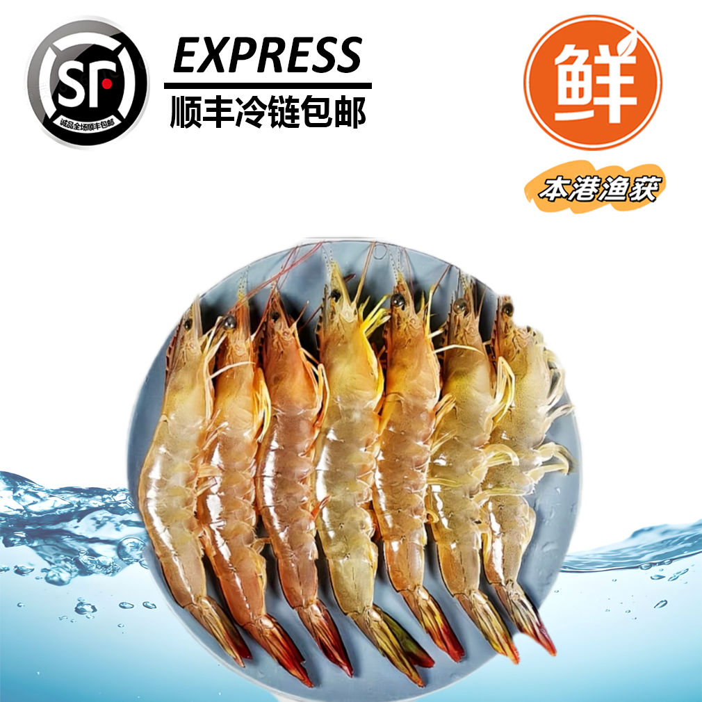 【南海大白虾】惠来靖海双拖南海优质大白虾/白刺虾【5斤】鲜汁甜脆