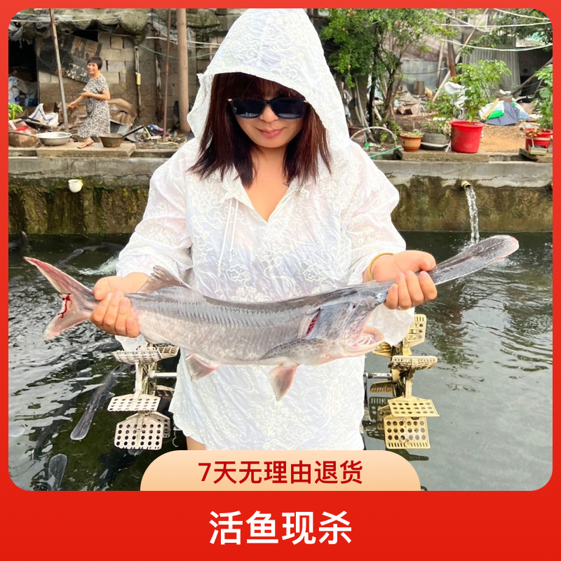 鸭嘴鱼活鱼现杀顺丰直发新鲜到家美食到家