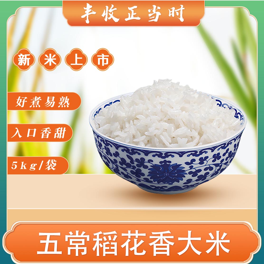赵府稻园五常大米5kg *袋 地理标识19266 稻花香粒粒精选新稻现磨