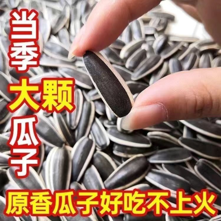 【主播专属】笨笨丫 现炒原味瓜子 500g*2袋 