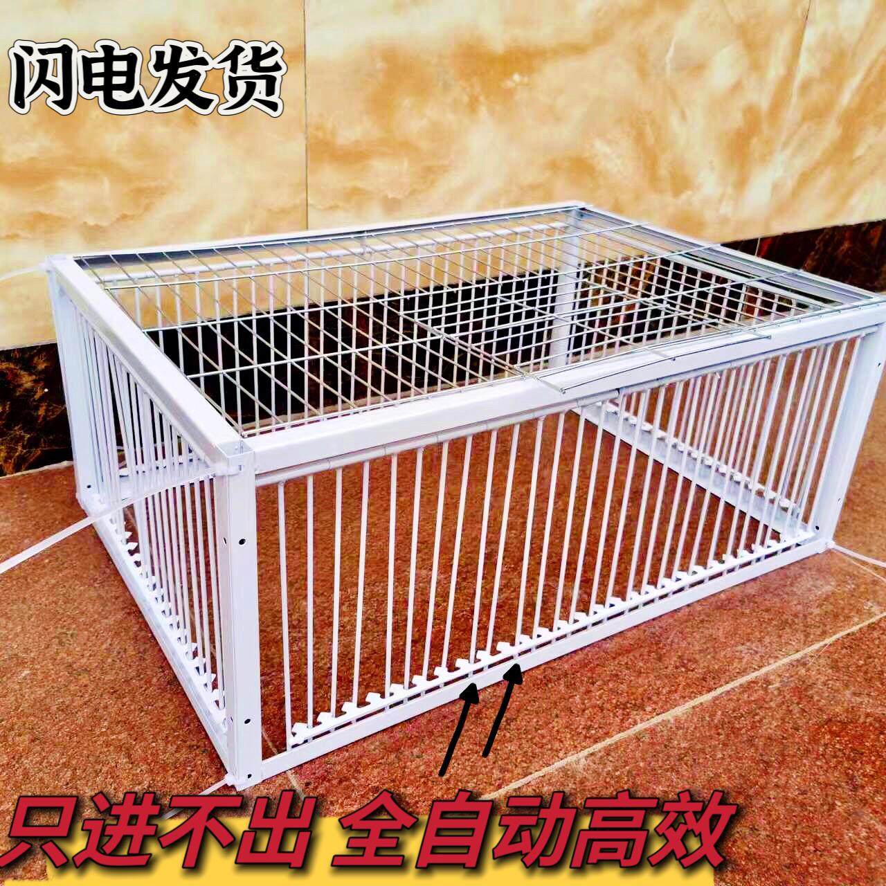 独家新款防逃天落笼只进不出鸽子笼加密撞门笼收鸽笼自动收鸽神器