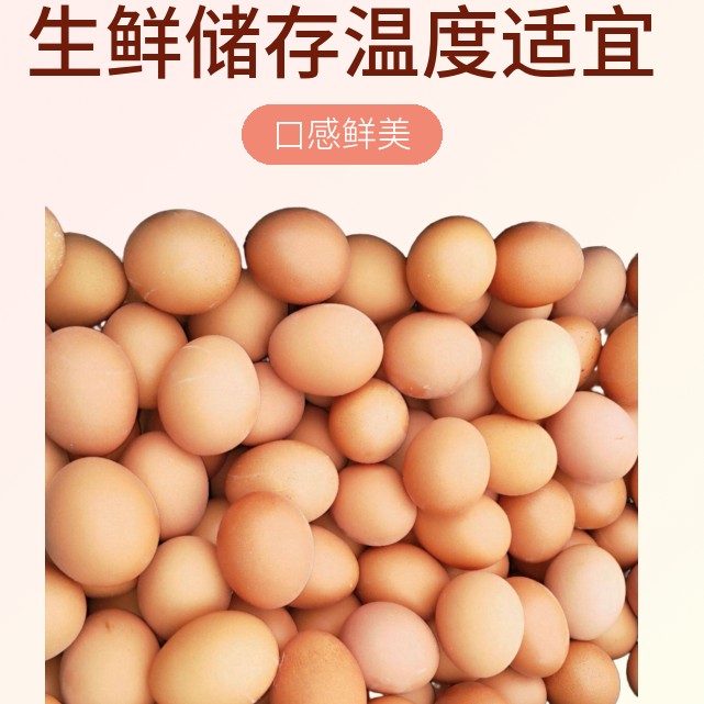 【秋收精选】农家土鸡蛋