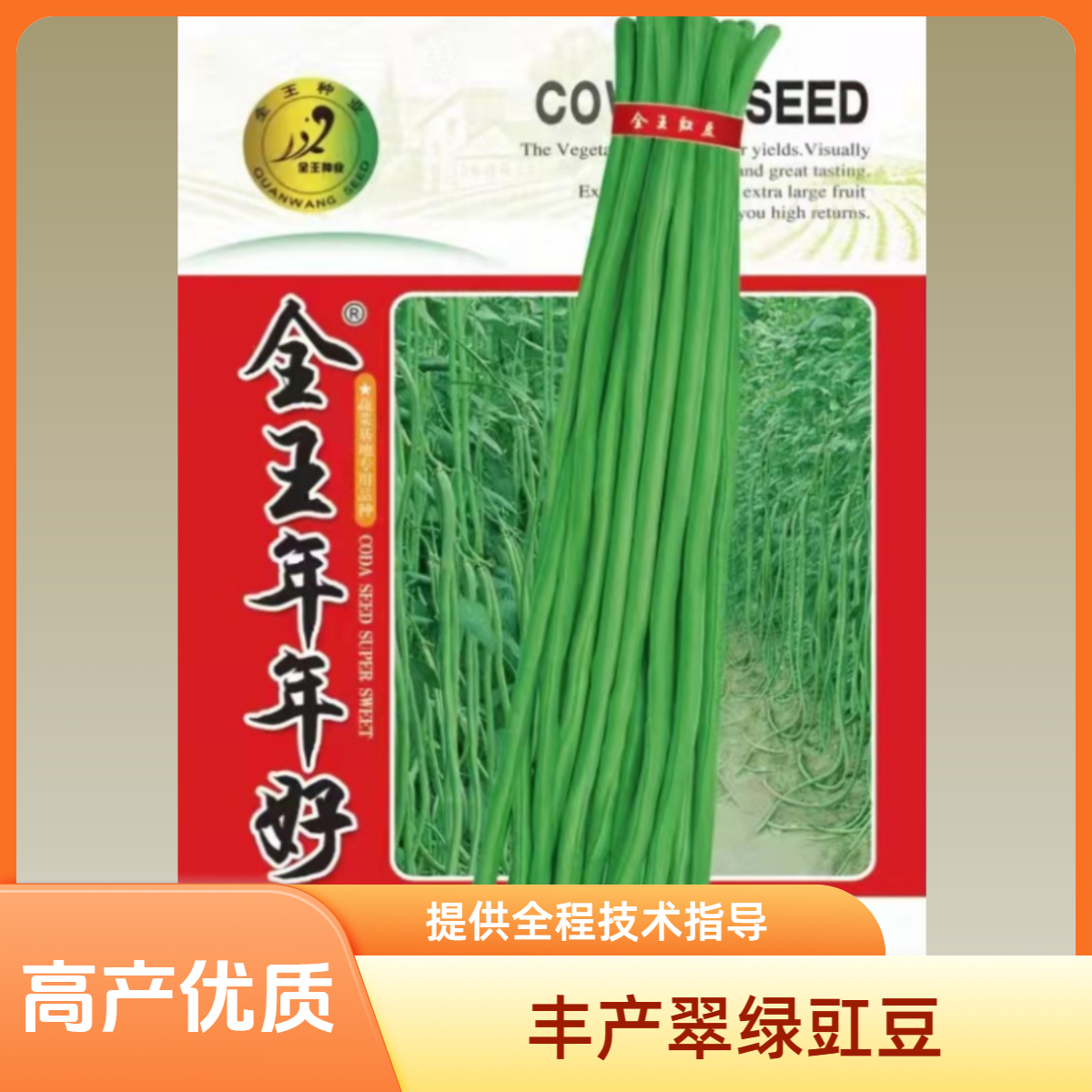 全王年年好豇豆翠绿大面积丰产型豆角种子种400克春季播种