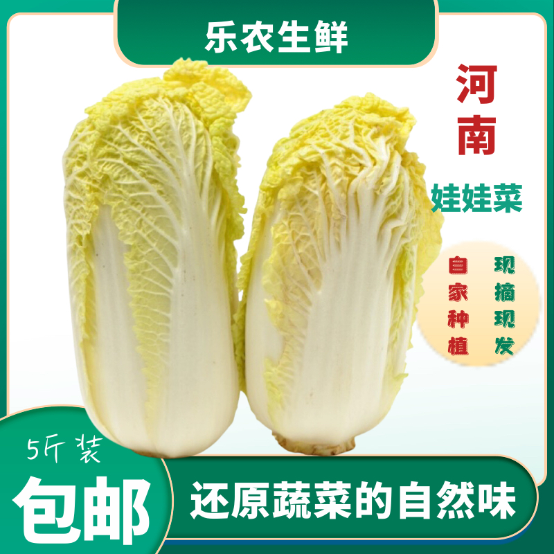 【现挖现发】5斤精品黄心娃娃菜新鲜蔬菜3-6颗泡菜食材新鲜非白菜