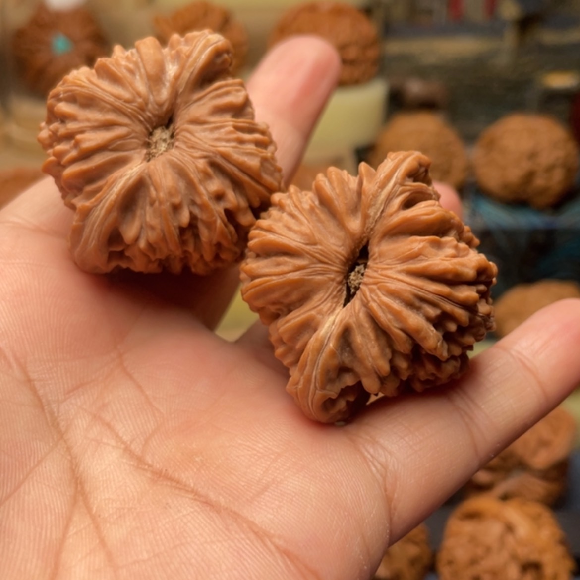 【闪购商品】文玩核桃把件一****讲