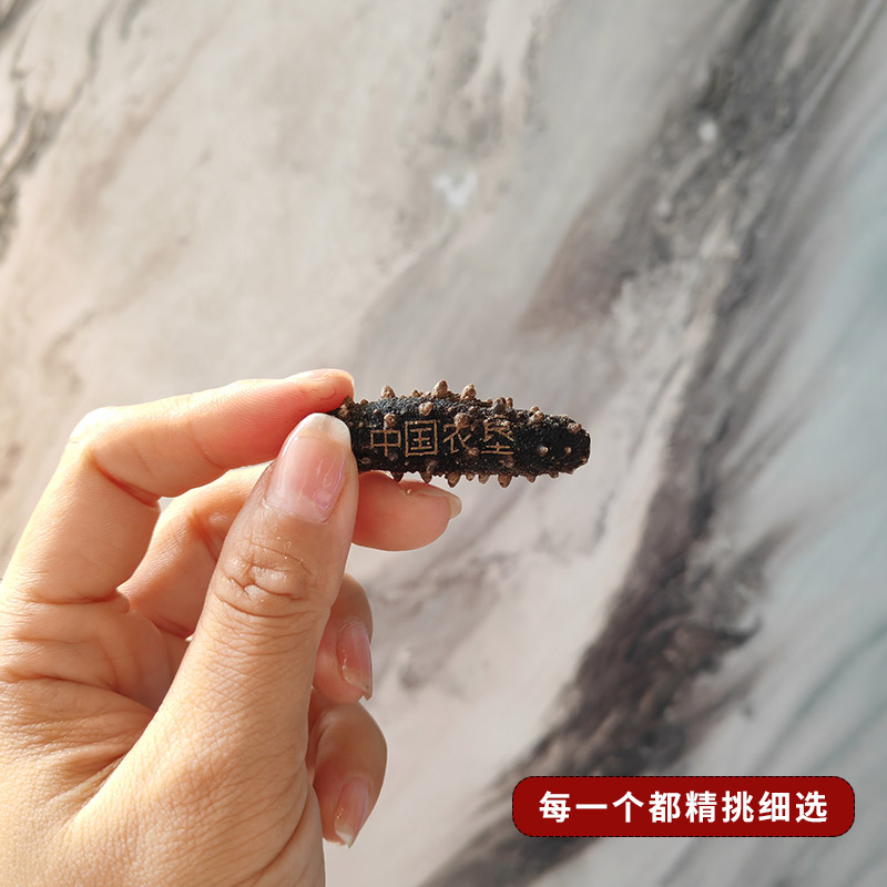 【中国农垦】大连淡干海参干货辽刺参500g