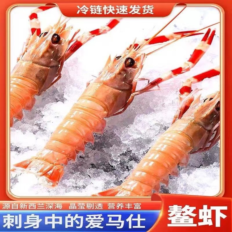 鳌虾 保鲜保肥刺身品质 顺丰包邮到家！